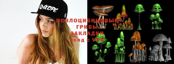 МДПВ Алексин