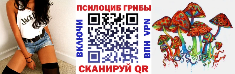 Галлюциногенные грибы Psilocybine cubensis  Печоры 